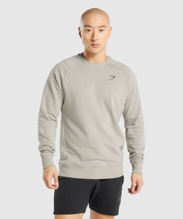 Panske Pulovre Gymshark Bold Crew Siva | YC3279604